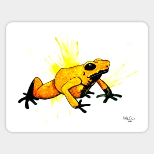 Dendorbates Terribilis Orange Dart Frog Watercolor Sticker